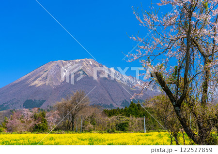 【日本百名山】添谷から見た春の大山12　鳥取県西伯郡伯耆町 122527859