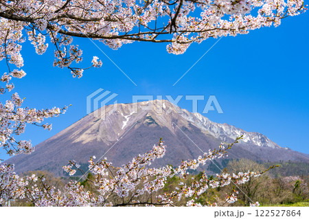 【日本百名山】添谷から見たサクラの花と大山8　鳥取県西伯郡伯耆町 122527864