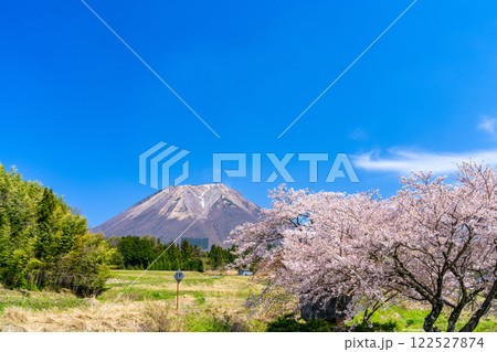 【日本百名山】大内から見たサクラの花と大山6　鳥取県西伯郡伯耆町 122527874