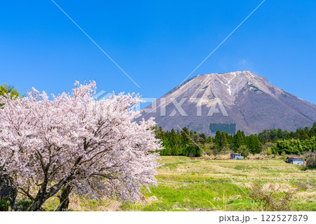 【日本百名山】大内から見たサクラの花と大山8　鳥取県西伯郡伯耆町 122527879