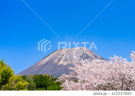 【日本百名山】大内から見たサクラの花と大山12 鳥取県西伯郡伯耆町 【日本百名山】大内から見たサクラの花と大山12 鳥取県西伯郡伯耆町 122527883