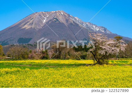 【日本百名山】添谷から見た春の大山2 鳥取県西伯郡伯耆町 【日本百名山】添谷から見た春の大山2 鳥取県西伯郡伯耆町 122527890