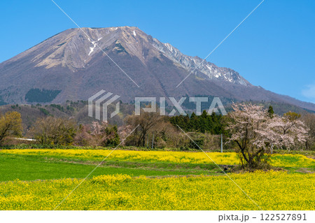 【日本百名山】添谷から見た春の大山3 鳥取県西伯郡伯耆町 【日本百名山】添谷から見た春の大山3 鳥取県西伯郡伯耆町 122527891