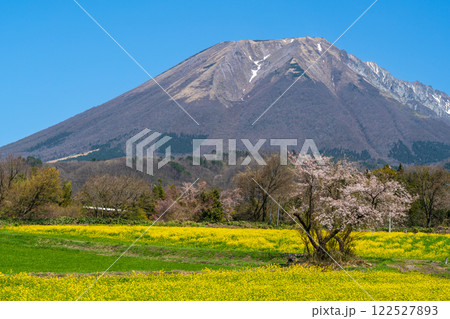 【日本百名山】添谷から見た春の大山5　鳥取県西伯郡伯耆町 122527893