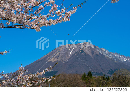【日本百名山】添谷から見たサクラの花と大山3 鳥取県西伯郡伯耆町 【日本百名山】添谷から見たサクラの花と大山3 鳥取県西伯郡伯耆町 122527896