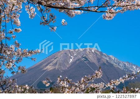 【日本百名山】添谷から見たサクラの花と大山4 鳥取県西伯郡伯耆町 【日本百名山】添谷から見たサクラの花と大山4 鳥取県西伯郡伯耆町 122527897