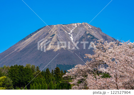 【日本百名山】大内から見たサクラの花と大山1　鳥取県西伯郡伯耆町 122527904