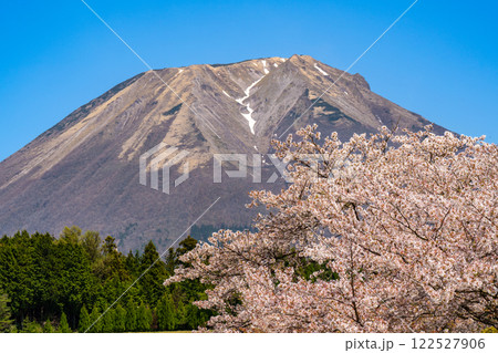 【日本百名山】大内から見たサクラの花と大山3 鳥取県西伯郡伯耆町 【日本百名山】大内から見たサクラの花と大山3 鳥取県西伯郡伯耆町 122527906