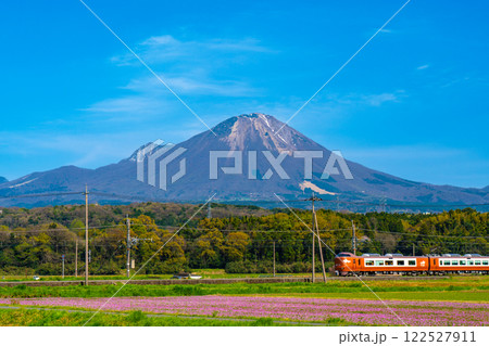 春の大山とレンゲ畑と特急やくも3　鳥取県西伯郡伯耆町 122527911