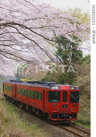 春の桜トンネルを駆け抜ける九州横断特急 122528332