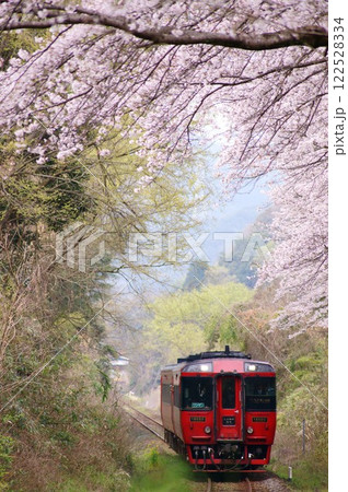 桜咲く春の肥薩線を駆ける列車 122528334