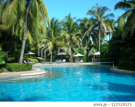 うきわ やしの木 パームツリー 122528523