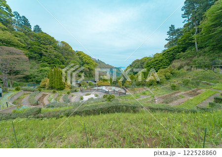 熱海の美しい風景 熱海の美しい風景 122528860