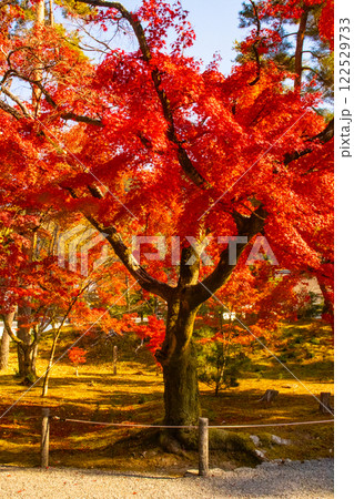 【京都風景】南禅寺　落ち着いた風情のある紅葉 122529733