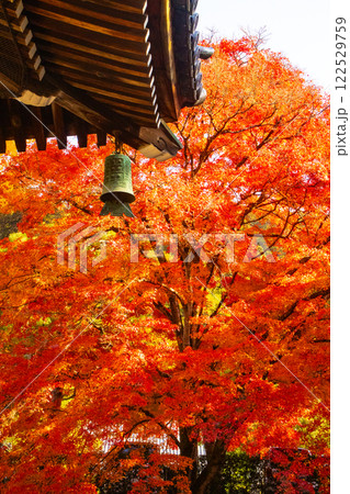 【京都風景】南禅寺 落ち着いた風情のある紅葉 【京都風景】南禅寺 落ち着いた風情のある紅葉 122529759