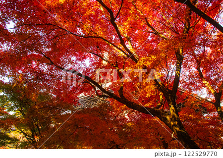 【京都風景】南禅寺　落ち着いた風情のある紅葉 122529770