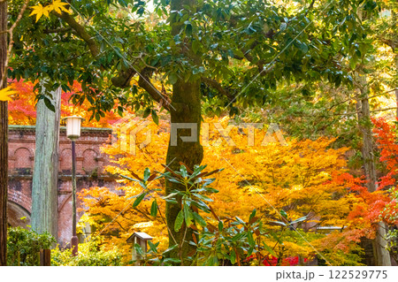 【京都風景】南禅寺　落ち着いた風情のある紅葉 122529775