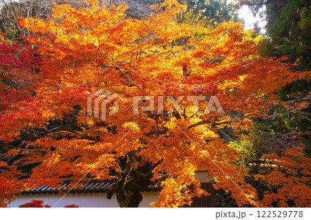 【京都風景】南禅寺　落ち着いた風情のある紅葉 122529778