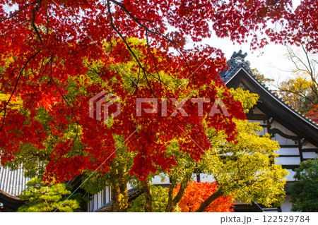 【京都風景】南禅寺 落ち着いた風情のある紅葉 【京都風景】南禅寺 落ち着いた風情のある紅葉 122529784