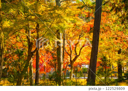 【京都風景】南禅寺　落ち着いた風情のある紅葉 122529809