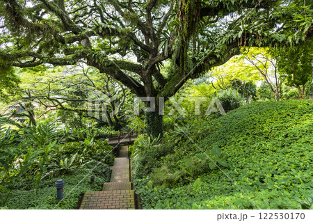 Beautiful view of Fort Canning Park in Civic District, Singapore. 122530170