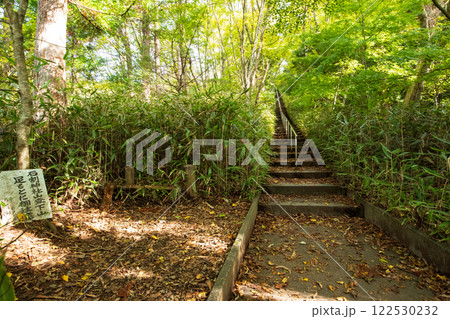 石割神社への階段 122530232