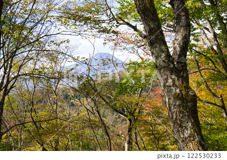 石割神社へのハイキングコースから富士山を望む 122530233