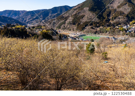 神奈川県松田町 ロウバイまつりの風景 ※展望台からの全景 神奈川県松田町 ロウバイまつりの風景 ※展望台からの全景 122530488
