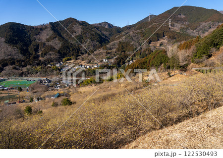 神奈川県松田町 ロウバイまつりの風景 ※展望台からの全景 神奈川県松田町 ロウバイまつりの風景 ※展望台からの全景 122530493
