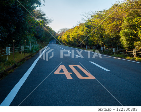 伊豆大島　三原山登山道路　都道207号線　 122530885