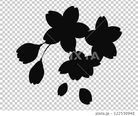 Cherry blossom silhouette illustration Sakura Cherry blossom silhouette illustration Sakura 122530948