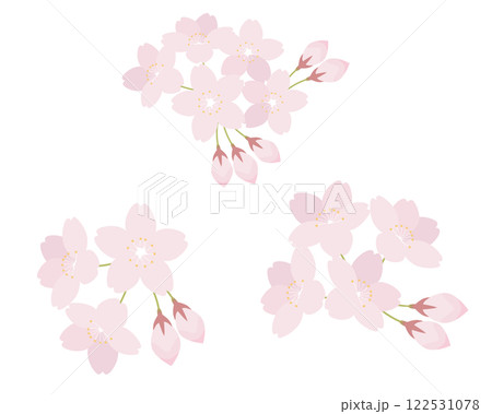 桜の花のイラストセット　さくら　ソメイヨシノ 122531078