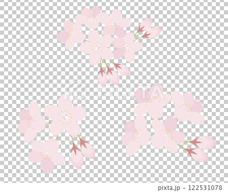 桜の花のイラストセット　さくら　ソメイヨシノ 122531078