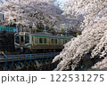 霞城公園の桜と仙山線E721系 122531275