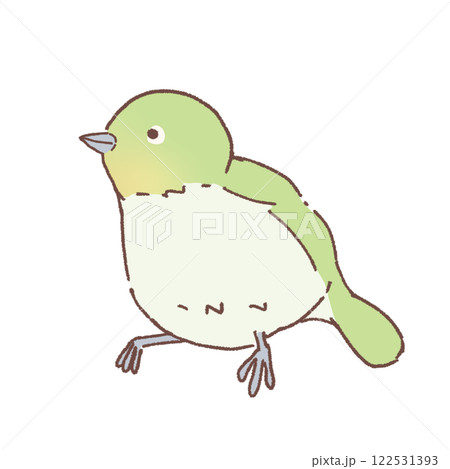 メジロのイラスト 122531393