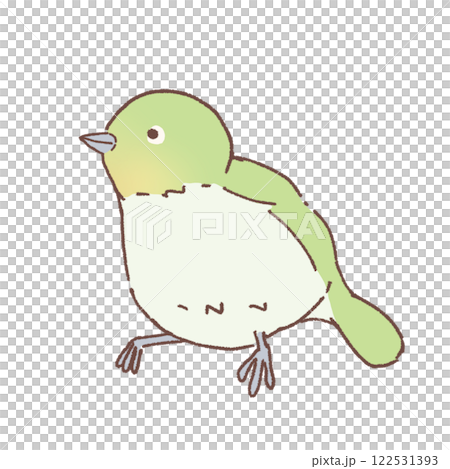 メジロのイラスト 122531393