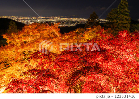《神奈川県》紅葉ライトアップ・大山阿夫利神社 《神奈川県》紅葉ライトアップ・大山阿夫利神社 122531416