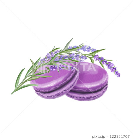 French macaroons with lavender. Hand-drawn illustration 122531707