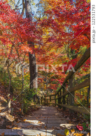 秋の紅葉に染まる飯田市の名勝天龍峡の風景(長野県) 秋の紅葉に染まる飯田市の名勝天龍峡の風景(長野県) 122531793