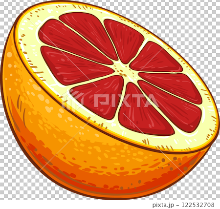 Blood Orange  Fruit  Colored Detailed Illustration 122532708