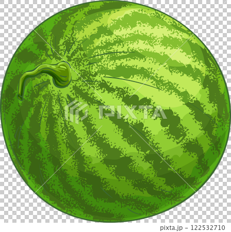 Watermelon Fruit Colored Detailed Illustration. Organic natural nutritional healthy food ingredient, vegetarian diet product. 122532710