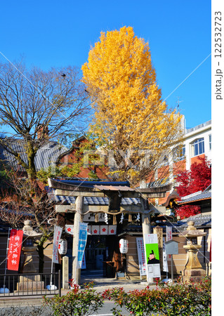 菅原院天満宮神社の銀杏 122532723