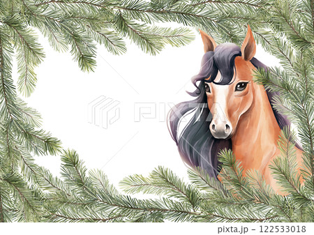 Hand drawn horse illustration with fir branches. 122533018