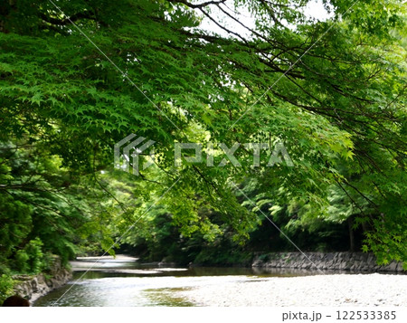 春の五十鈴川 122533385