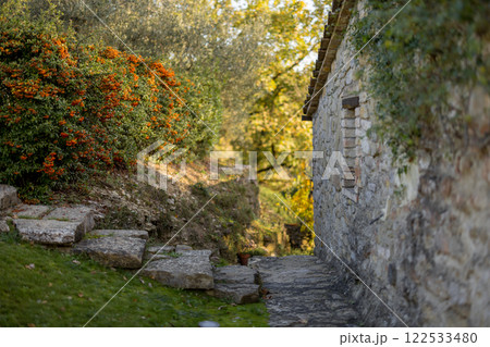 Stone Pathway and Vibrant Autumn Bush 122533480