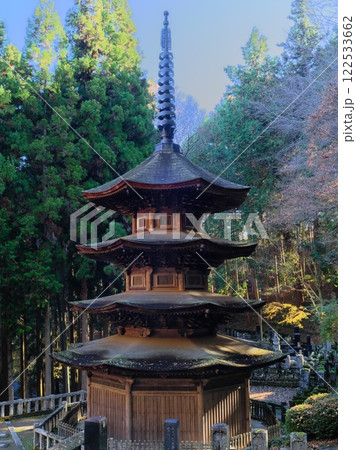 秋の信州別所温泉 安楽寺の八角三重塔歴史に佇む 秋の信州別所温泉 安楽寺の八角三重塔歴史に佇む 122533662