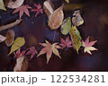 奈良県明日香村飛鳥川、川面の落葉 122534281