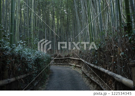嵐山 嵐山 122534345