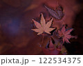 奈良県明日香村飛鳥川、川面の紅葉 122534375