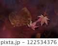 奈良県明日香村飛鳥川、川面の紅葉 122534376